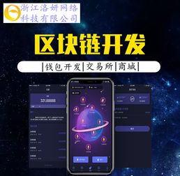 浙江杭州洛妍网络软件开发 数字化浪潮中的创新实践与前景展望